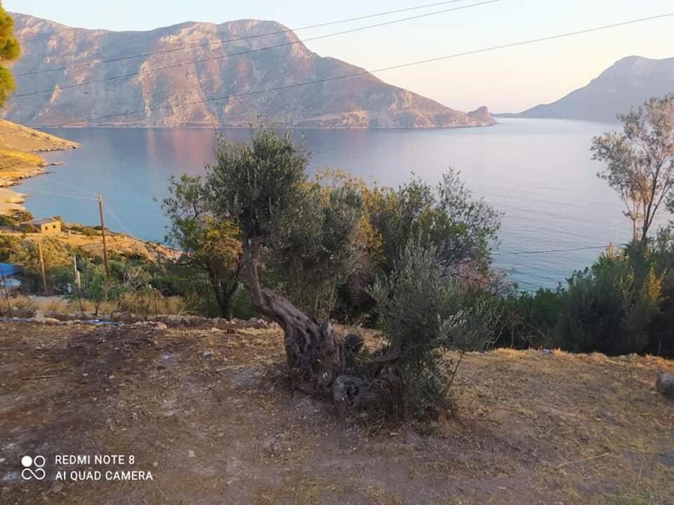 The Traditional House-Skalia,Kalymnos Exterior photo