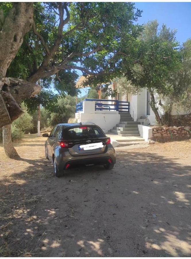 The Traditional House-Skalia,Kalymnos Exterior photo
